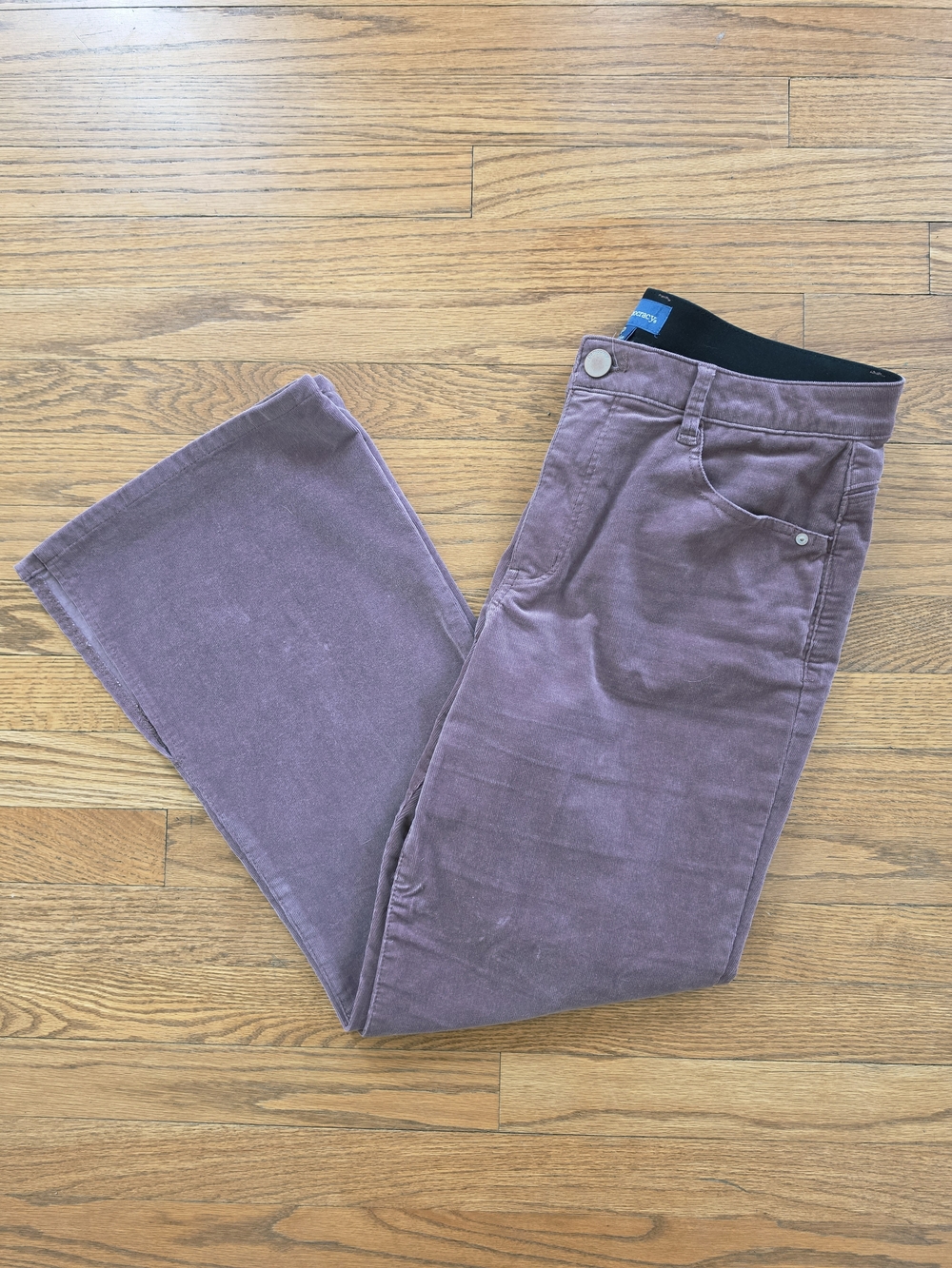 Democracy Boot Cut 'Ab'solution Muave Corduroy Pants Size 12P